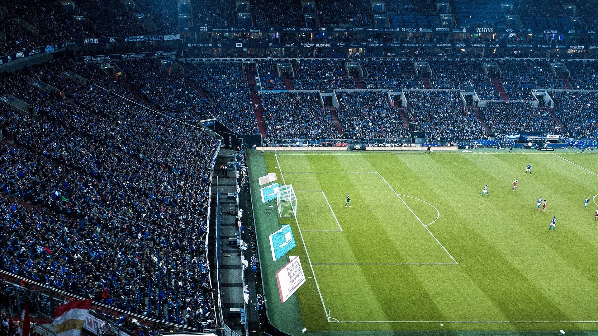 仰泳赛场波兰选手步伐稳定,仰泳冠军的慢动作视频