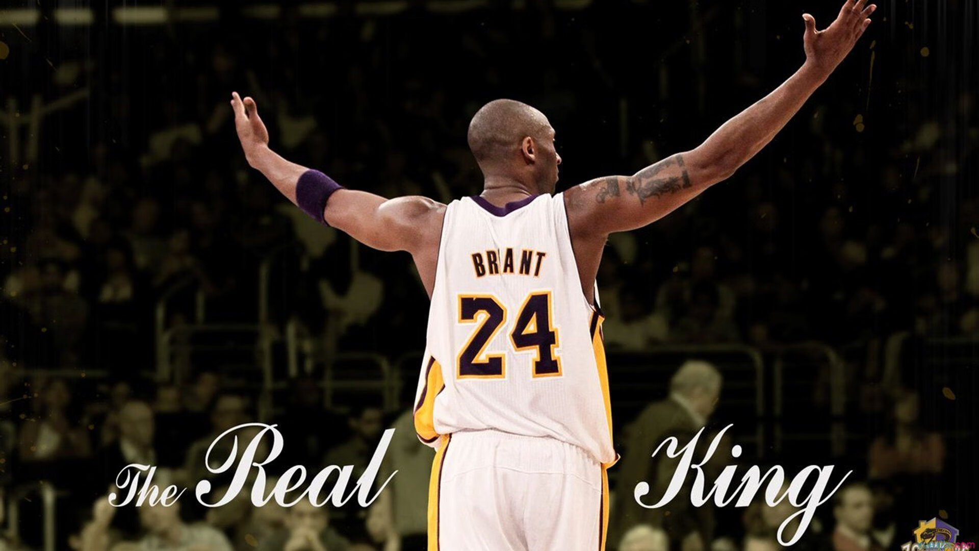 哈斯克冲线速度惊艳全场,哈斯克尔